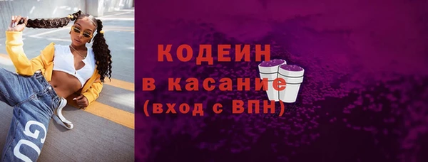 шишки Михайловск