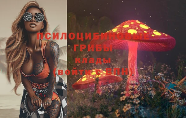 шишки Михайловск