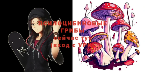 кокаин перу Михайлов