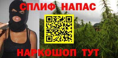 кокс Донской