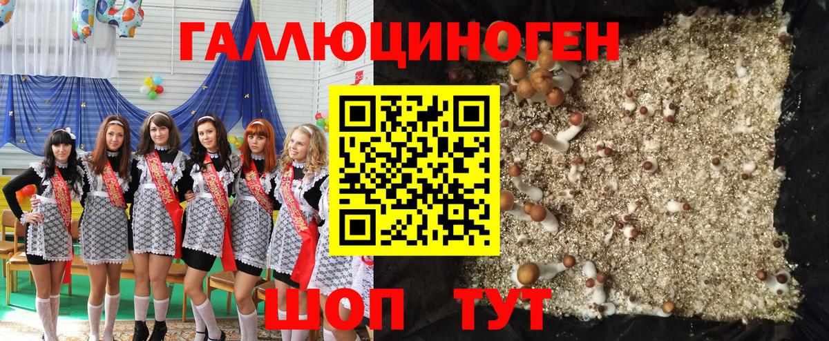 Псилоцибиновые грибы Cubensis  Галлюциногенные грибы Psilocybe  Новочебоксарск  Вход с VPN 