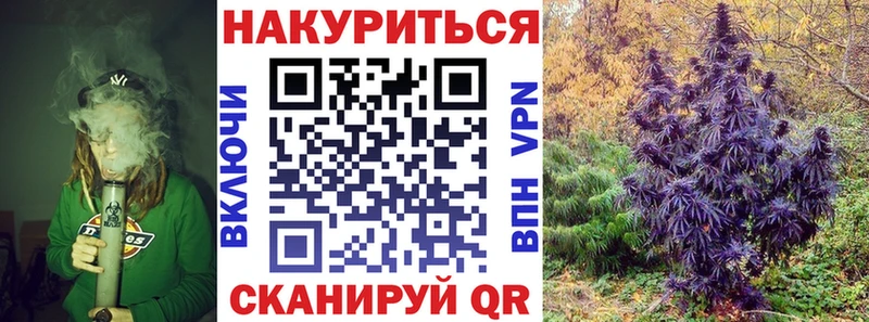 Конопля Bruce Banner  как найти закладки  Новочебоксарск 