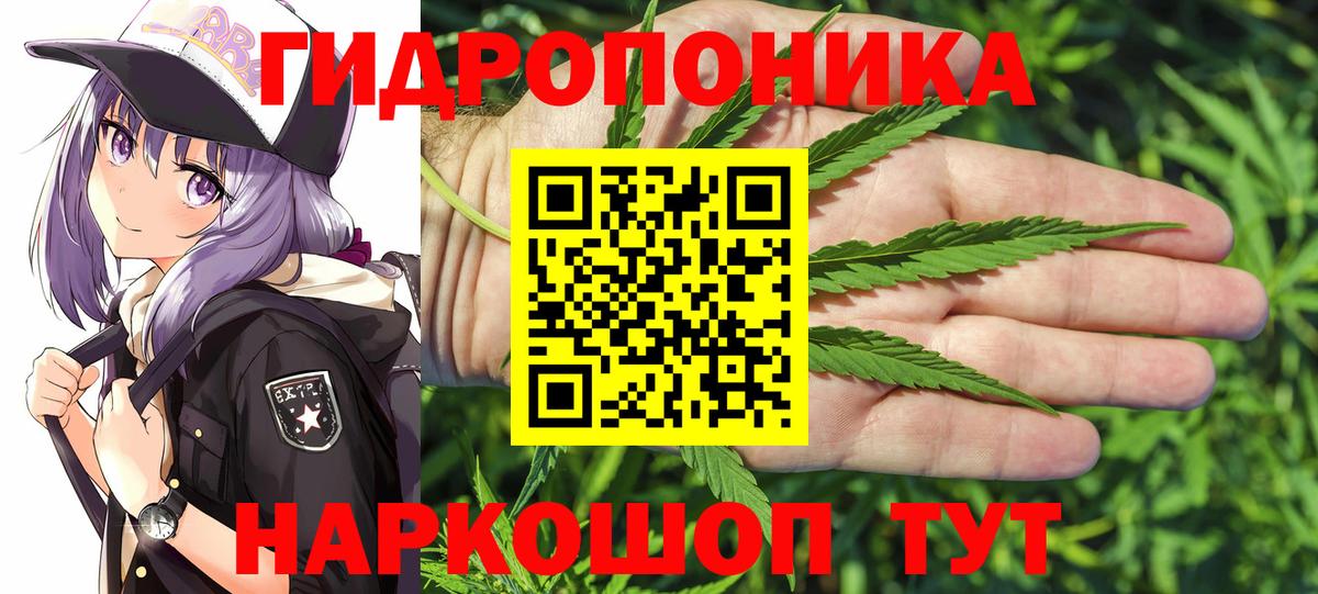 МАРИХУАНА сатива Новочебоксарск